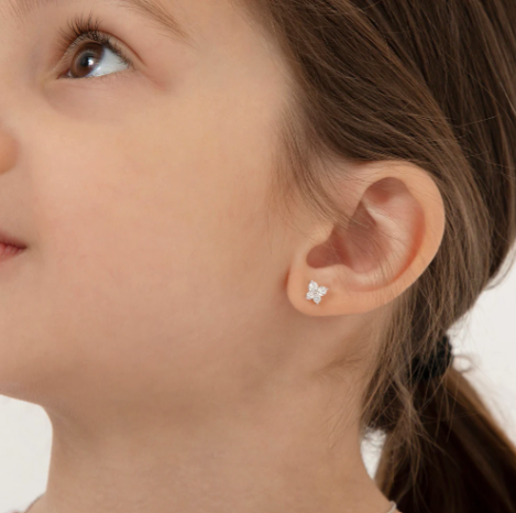 Mariposa Brillante - Plata 925